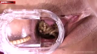 Old woman cunt filled of hearts and watched as they crept inside